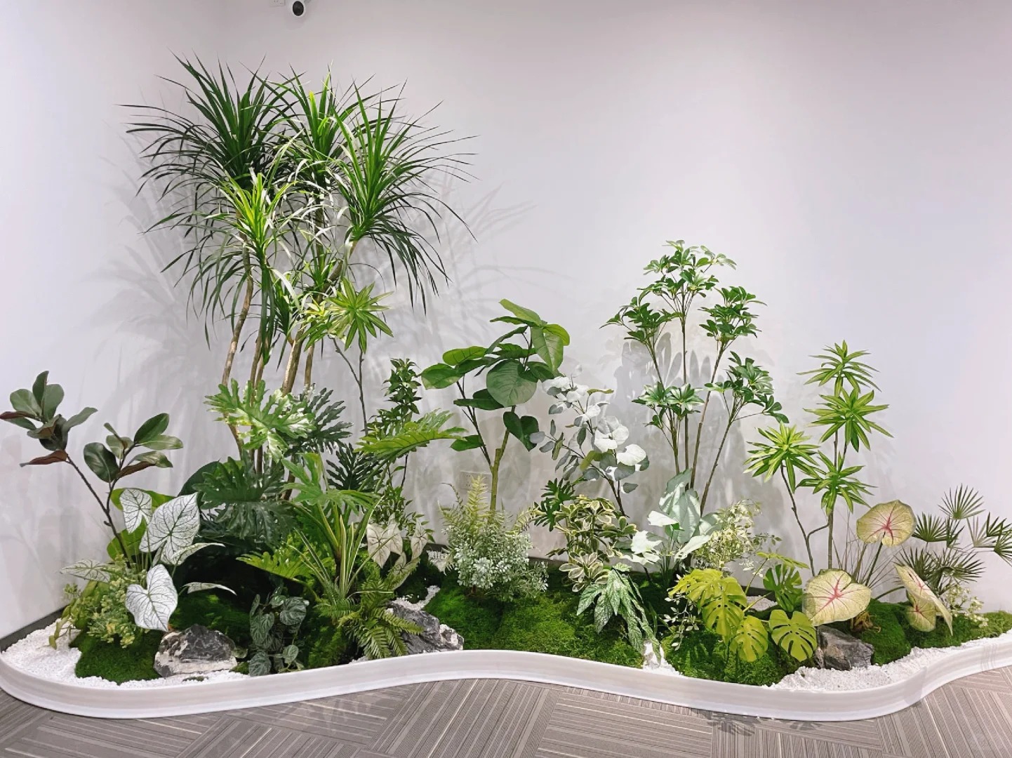 专业花木出租，宁波鄞州打造缤纷绿植空间